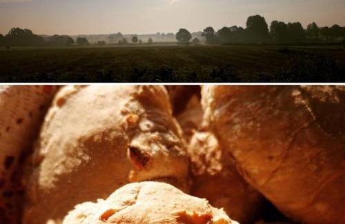 Tollarp Bed & Breakfast | Årröds Boställe