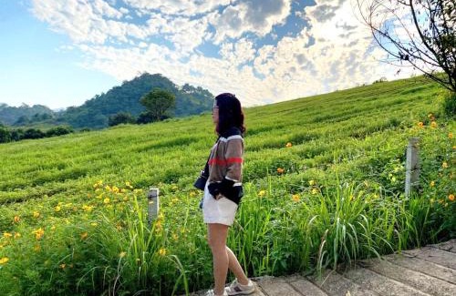 Moc Chau Hotel | Đồi Thông Homestay Mộc Châu - by BAY LUXURY