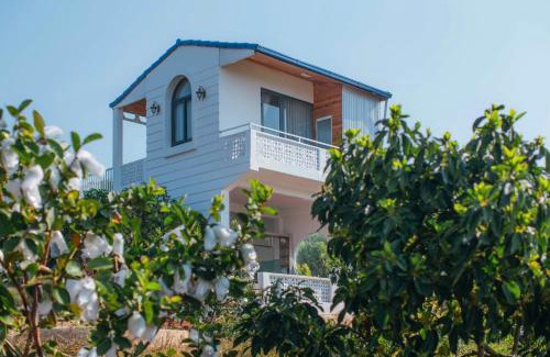 Don Duong House | Điểm cộng đồng du lịch nông nghiệp nông thôn Avocado Farm