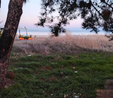 Megalos Prinos Apartment | ΘωΜΑΙΣ