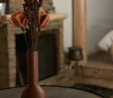 Kefalochori Ski Chalet | Νύμφες Σαλέ Ιαίρα