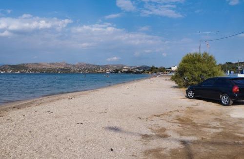 Salamis House | παραδοσιακό και ήρεμο καταλυμα