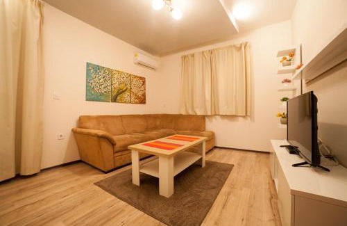 Pleven Apartment | Апартамент ГАЛИ