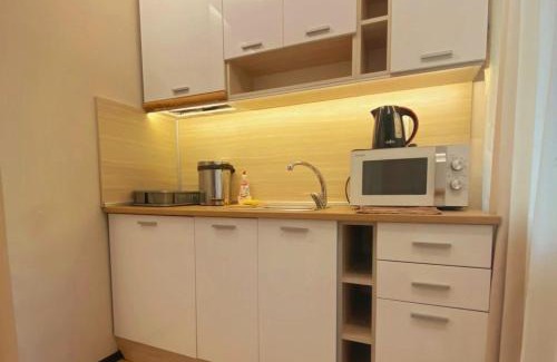 Pleven Apartment | Апартамент ГАЛИ