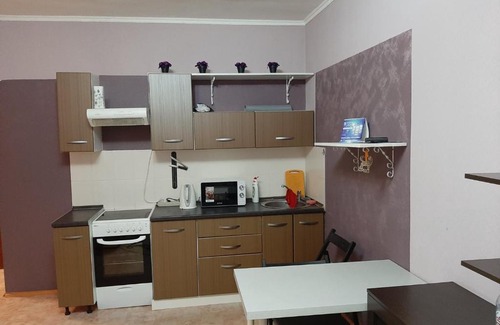 Tsentralnyy okrug Apartment | Аппартаменты Осипенко