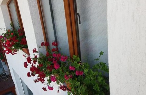 Smolyan House | Бащината къща