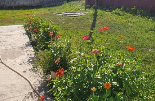 Saty House | Гостевой дом Сауле 1