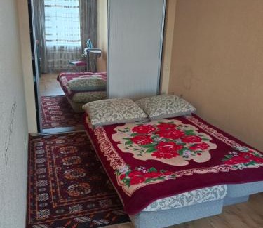 Balkhash Apartment | Двушка возле набережной