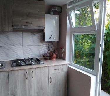 Dilijan House | Дом на улице Овсепяна 7