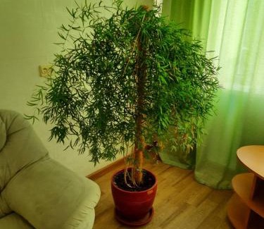 Degtyari Apartment | Квартира возле парка Б. Хмельницкого (центр) из первых рук