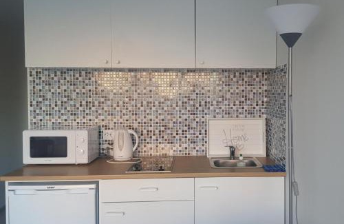 Klaipeda Apartment | Квартира-студия рядом с Акрополем Клайпеда