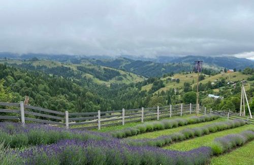 Snidavka Apartment | Котедж Тиша