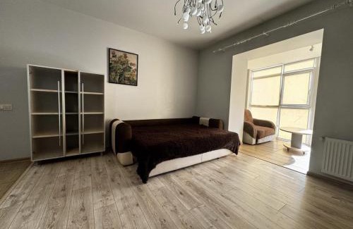 Petrovskoye Apartment | Просторная квартира в центре города