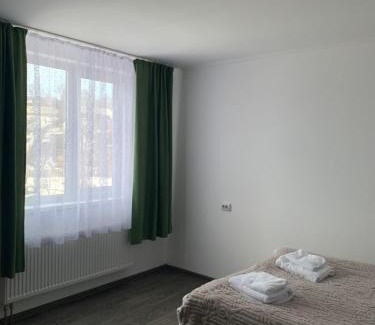 Yasinya House | Серце Карпат