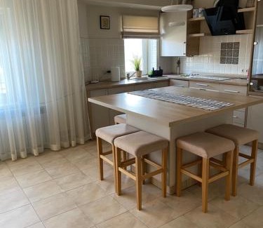 Transcarpathia Apartment | Сонячне Закарпаття