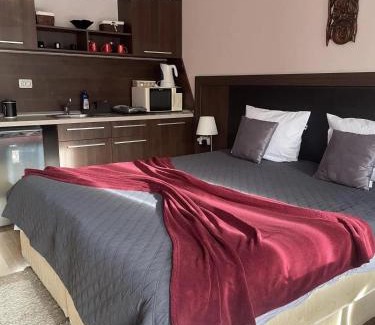 Velingrad Apartment | Студио Натали в балнеохотел Св Спас