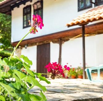 Gabrovo Villa | "Суларската къща"