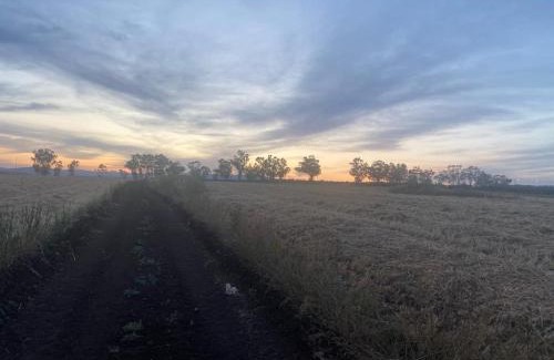 Shadmot Dvora Apartment | וילת הנחלה למשפחות Nahala Villa