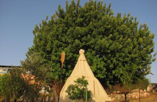 Tabash Bed & Breakfast | שבט אחים - Galilee Bedouin Camplodge - חווית אירוח ייחודית בטבאש