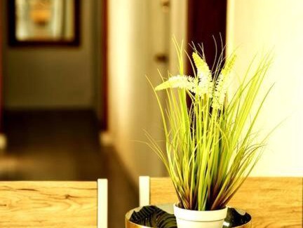 Arad House | שמילה אירוח 2