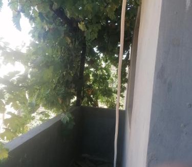 Ajloun Governorate Apartment | الاردن عجلون رأس منيف