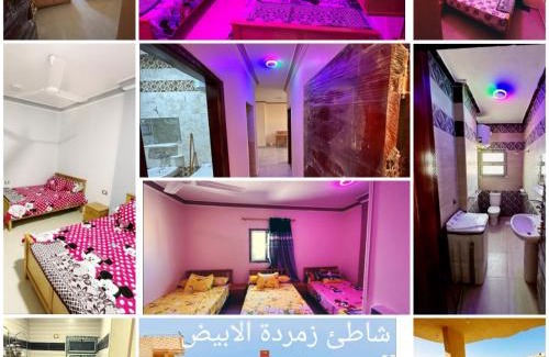 Marsa Matruh Apartment | شقق مصيفيه للايجار اليومي مع اطلاله علي البحر