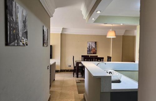 Giza Apartment | شقه فندقيه فاخره مطله على النيل - nile view hotel apartment