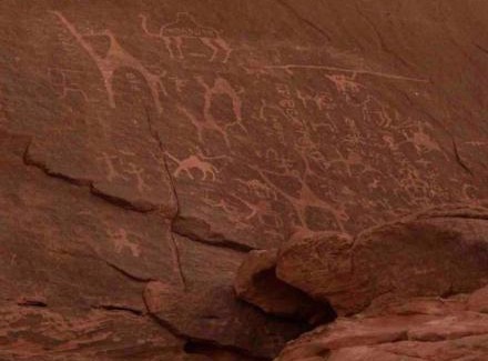 Wadi Rum Other | مخيم نجوم رم