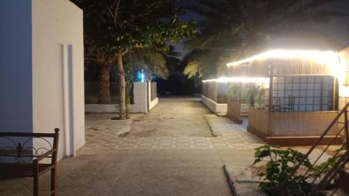 Ash Sharqiyah North Governorate House | مزرعة نحل العسل