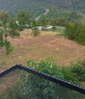 Khao Kho Ski Chalet | บ้านพัก เย็นเย็นแคมป์ปิ้ง
