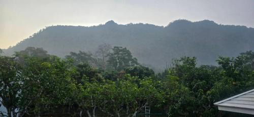 Chiang Dao House | ปิงโค้งเม้าท์เท่นวิว