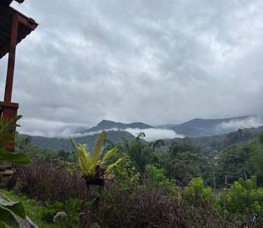 Doi Lo House | รักเขาอินทนนท์โฮมสเตย์ Doi inthanon Homestay