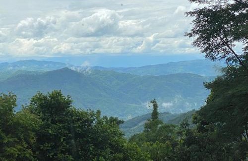 Chiang Rai Province House | อะบู้ศรีโฮมสเตย์