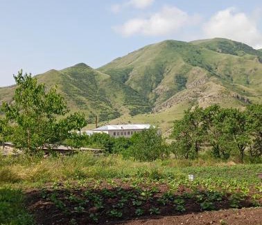 T'ba House | გიოს ქოხი