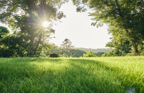 Isumi Villa | いすみ市の自然の中の別荘B棟-IsumiB