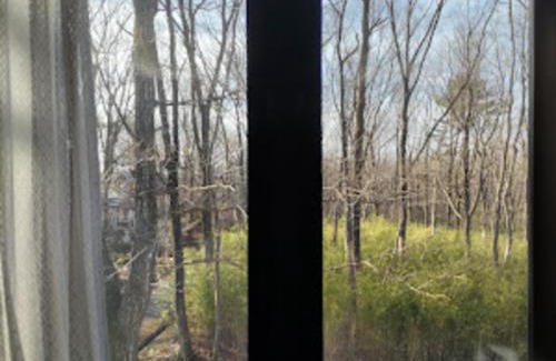 Nasu Apartment | スターリースカイズ那須店