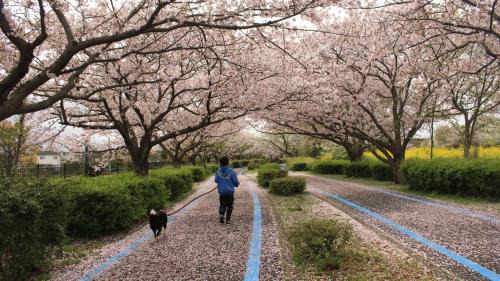 Higashi-ku House | 一棟貸民泊西戸崎駅前