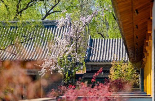Changping Hotel | 北京小汤一瓢私汤度假酒店YiPiao Courtyard Hot Spring Resort Xiaotangshan Beijing