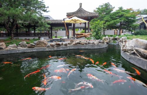 Pingxifu Hotel | 北京水城一瓢私汤度假酒店 Shuicheng Yipiao Wangfu Hot Spring Hotel & Resorts