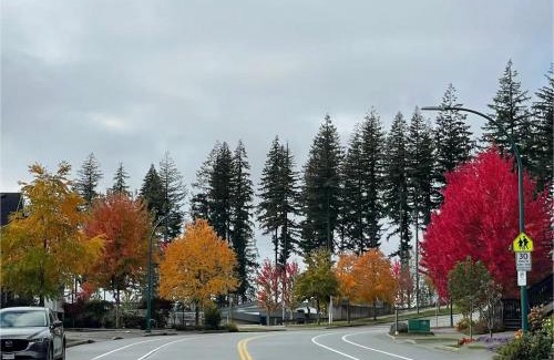 Burke Mountain House | 宽敞的私人套房&热水浴缸&近交通和自然小径