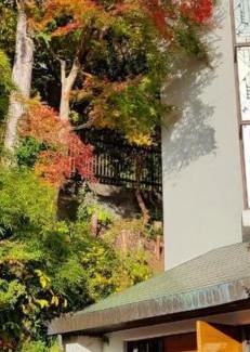 Atami House | 熱海温泉 実の別荘
