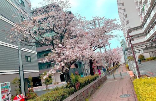 Ota Villa | 風花Fuka民泊大森本町