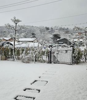 Ganghwa House | 강화펫비하우스