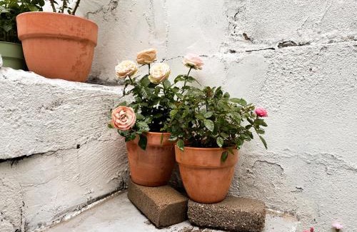 Seongbuk-gu Apartment | 서울 성북 D'enough House