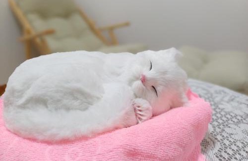 Jeonju Apartment | #전주여행#한옥마을#객리단길#남부시장#장박할인