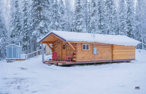Fairbanks Cabin | 1 Bd. Deluxe Log Cabin | View Northern Lights!