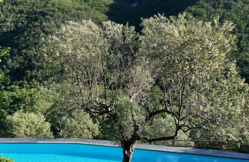Colletta House | 1 Bed Cottage Sleeps 4 Private Garden - Pool