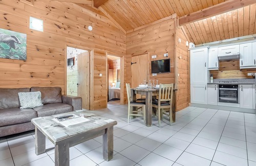Freehay Ski Chalet | 1 bedroom accommodation in Freehay, Cheadle