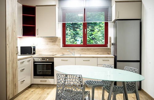 Zelezny Brod Apartment | 1-Bedroom Apartment with River View - Bohemian Paradise/Free Bikes