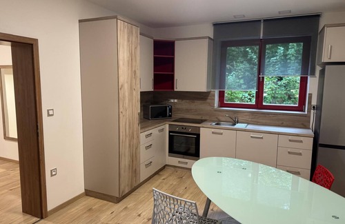 Zelezny Brod Apartment | 1-Bedroom Apartment with River View - Bohemian Paradise/Free Bikes